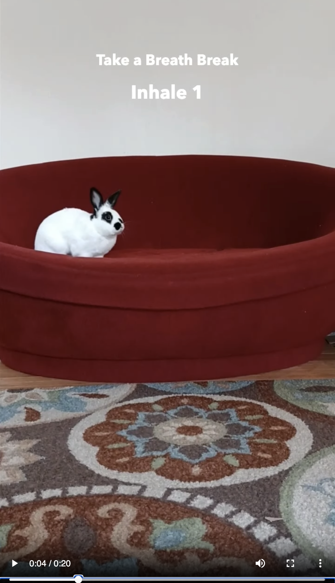 Breath Break demo - bunny taking a breath break